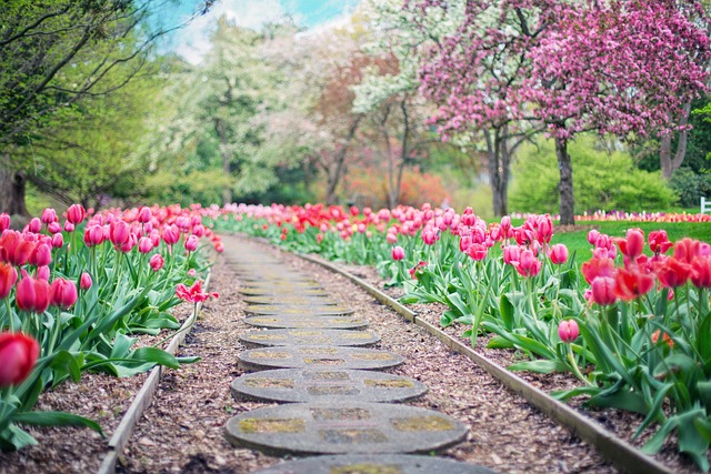 Specificaties van goede tuin tegels
